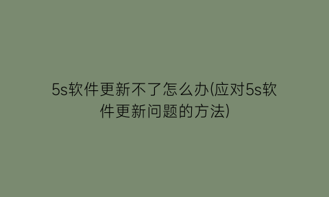 5s软件更新不了怎么办(应对5s软件更新问题的方法)