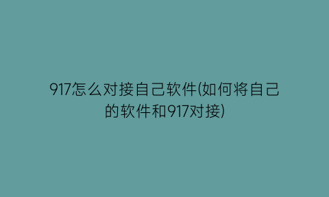 917怎么对接自己软件(如何将自己的软件和917对接)