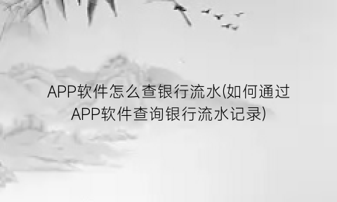 “APP软件怎么查银行流水(如何通过APP软件查询银行流水记录)