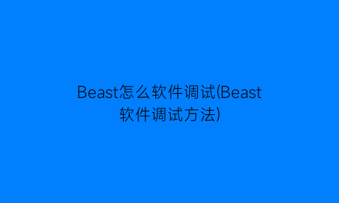 Beast怎么软件调试(Beast软件调试方法)