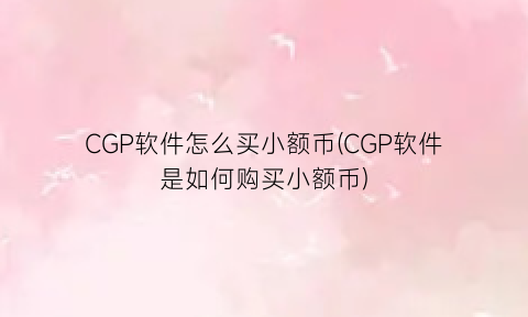 CGP软件怎么买小额币(CGP软件是如何购买小额币)