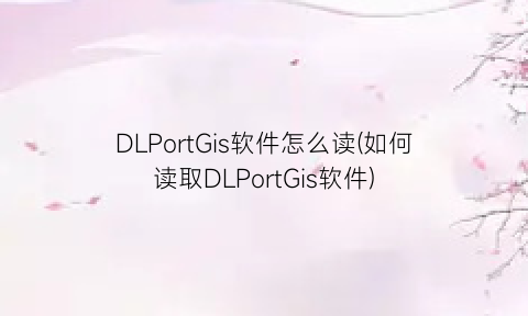 DLPortGis软件怎么读(如何读取DLPortGis软件)