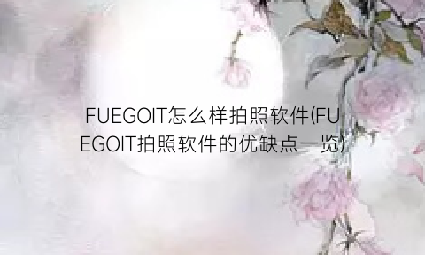 FUEGOIT怎么样拍照软件(FUEGOIT拍照软件的优缺点一览)