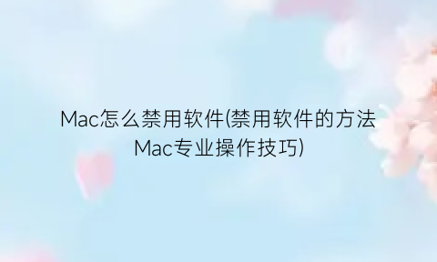 Mac怎么禁用软件(禁用软件的方法Mac专业操作技巧)