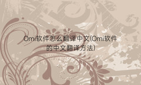 Omi软件怎么翻译中文(Omi软件的中文翻译方法)