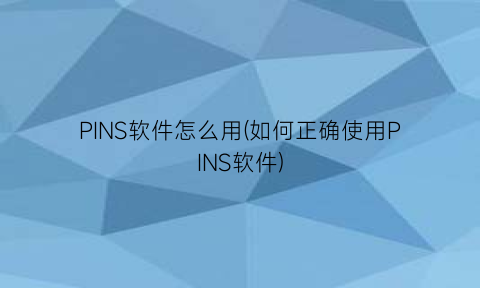 “PINS软件怎么用(如何正确使用PINS软件)