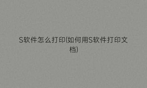 “S软件怎么打印(如何用S软件打印文档)