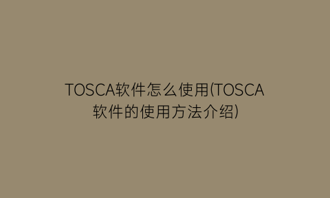 TOSCA软件怎么使用(TOSCA软件的使用方法介绍)