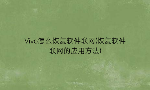 Vivo怎么恢复软件联网(恢复软件联网的应用方法)