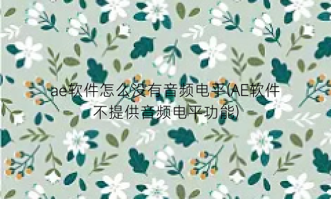ae软件怎么没有音频电平(AE软件不提供音频电平功能)