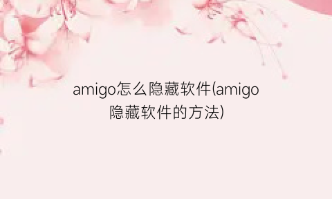 amigo怎么隐藏软件(amigo隐藏软件的方法)