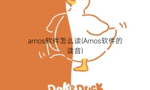 “amos软件怎么读(Amos软件的读音)