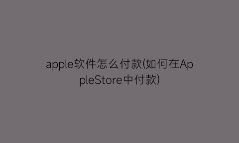 apple软件怎么付款(如何在AppleStore中付款)
