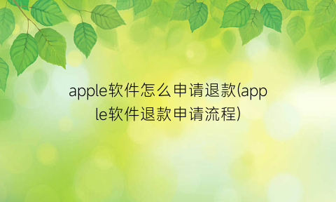 apple软件怎么申请退款(apple软件退款申请流程)