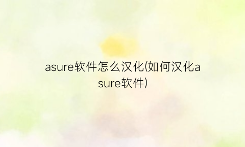 asure软件怎么汉化(如何汉化asure软件)