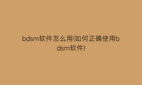 “bdsm软件怎么用(如何正确使用bdsm软件)