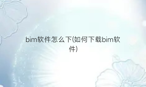 bim软件怎么下(如何下载bim软件)