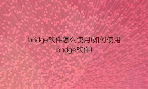 bridge软件怎么使用(如何使用bridge软件)