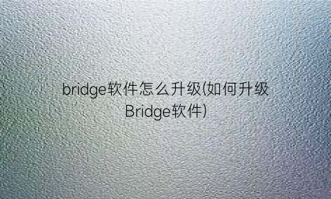 “bridge软件怎么升级(如何升级Bridge软件)