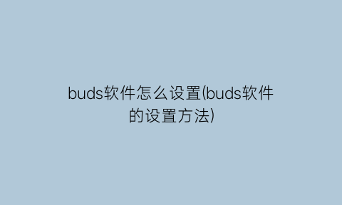 buds软件怎么设置(buds软件的设置方法)