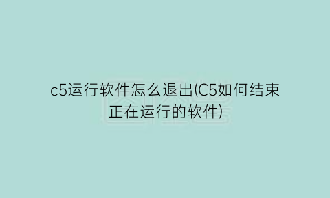 c5运行软件怎么退出(C5如何结束正在运行的软件)