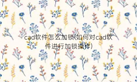 “cad软件怎么加锁(如何对cad软件进行加锁操作)