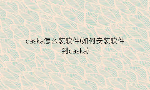 caska怎么装软件(如何安装软件到caska)