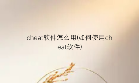 “cheat软件怎么用(如何使用cheat软件)