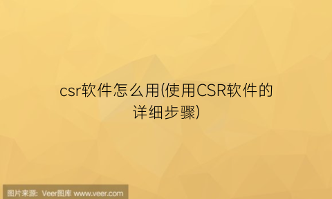 csr软件怎么用(使用CSR软件的详细步骤)