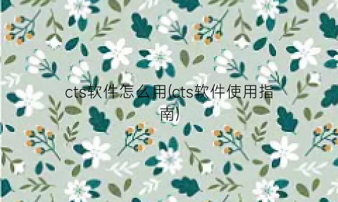 cts软件怎么用(cts软件使用指南)