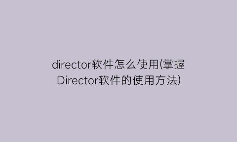 director软件怎么使用(掌握Director软件的使用方法)