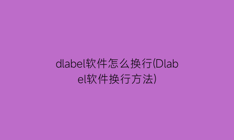 “dlabel软件怎么换行(Dlabel软件换行方法)