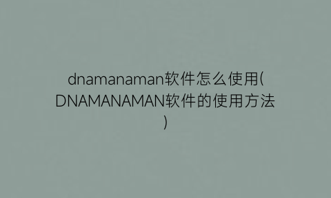 dnamanaman软件怎么使用(DNAMANAMAN软件的使用方法)