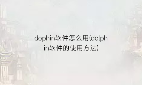 dophin软件怎么用(dolphin软件的使用方法)