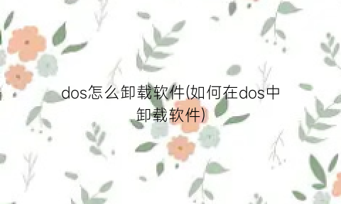 dos怎么卸载软件(如何在dos中卸载软件)