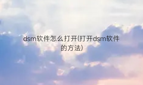 dsm软件怎么打开(打开dsm软件的方法)