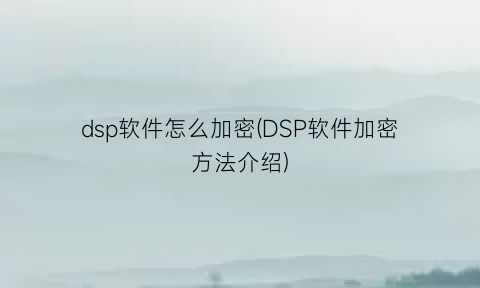 dsp软件怎么加密(DSP软件加密方法介绍)