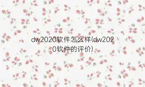 dw2020软件怎么样(dw2020软件的评价)