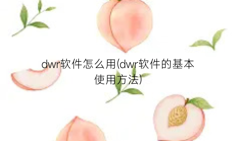 “dwr软件怎么用(dwr软件的基本使用方法)