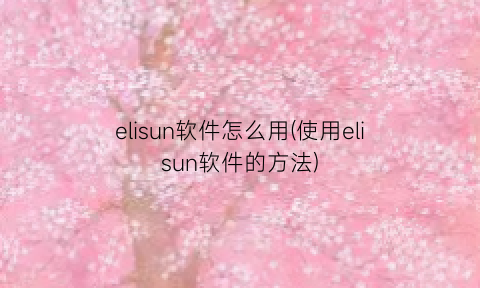 “elisun软件怎么用(使用elisun软件的方法)