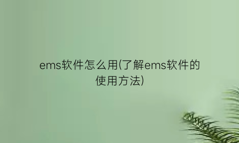 “ems软件怎么用(了解ems软件的使用方法)