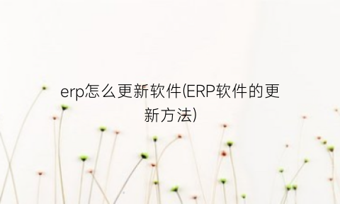 erp怎么更新软件(ERP软件的更新方法)