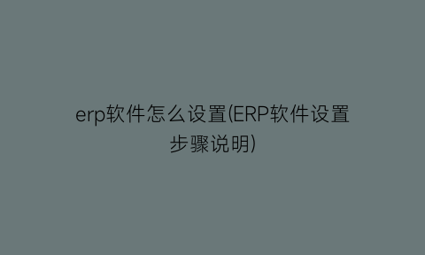 “erp软件怎么设置(ERP软件设置步骤说明)