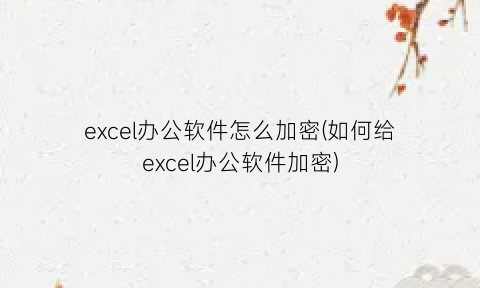 excel办公软件怎么加密(如何给excel办公软件加密)