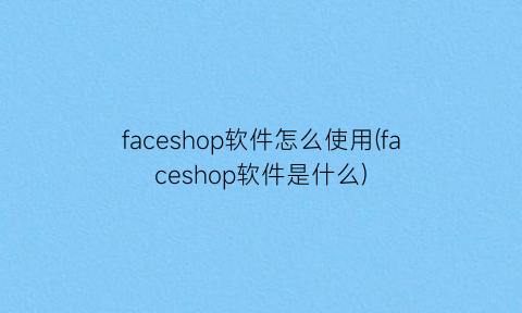 “faceshop软件怎么使用(faceshop软件是什么)