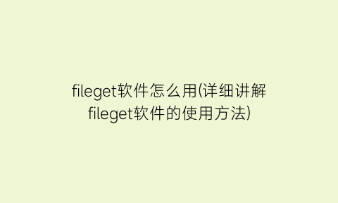 fileget软件怎么用(详细讲解fileget软件的使用方法)