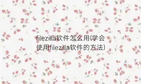 “filezilla软件怎么用(学会使用filezilla软件的方法)