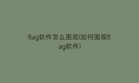 flag软件怎么围观(如何围观flag软件)