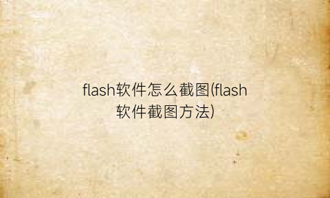 flash软件怎么截图(flash软件截图方法)