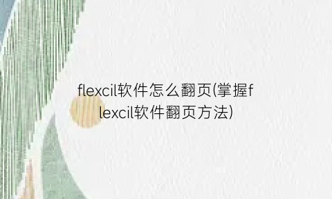 flexcil软件怎么翻页(掌握flexcil软件翻页方法)